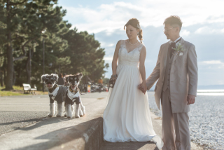 【CHECK】大切なペットとの撮影もOKです!