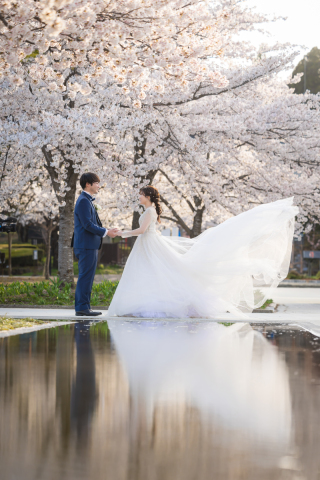 もうすぐ桜シーズン！ロケーション撮影もお任せください♪