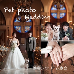 【Q＆A】ペット婚や理想の結婚式を叶えたい方へ☆
