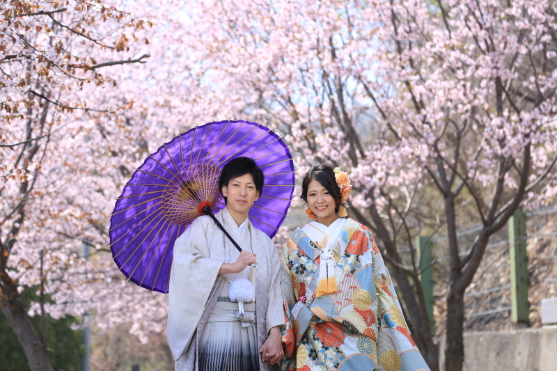 2022年春◇札幌　人気の桜ロケーションフォト～撮影受付スタート です！