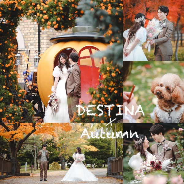 《Q＆A》にお答えします！紅葉フォトをお考えの方はお早めに！