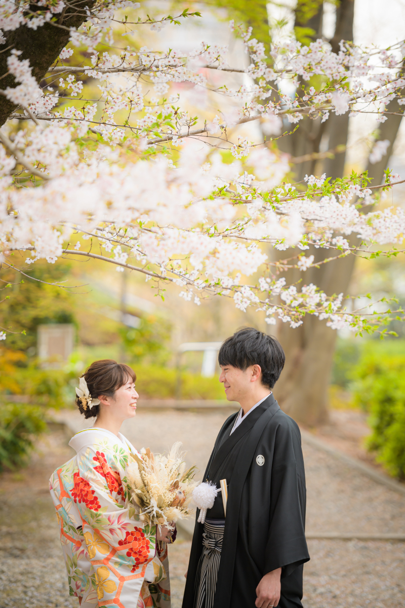 来春に向けて桜とのお写真撮影のご紹介でございます！