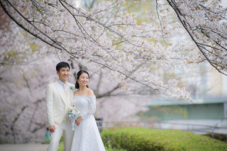 春の温かさを感じて頂ける“桜フォトプラン”
