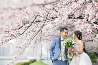 まだ間に合う!新春シーズンの桜フォト