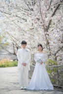 桜と共に！春のフォトウェディング