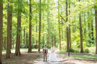 緑溢れるこの季節ならではのお写真をご紹介！