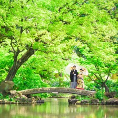 庭園での新緑撮影