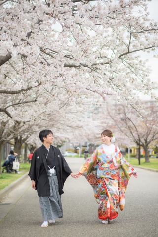 桜シーズン到来