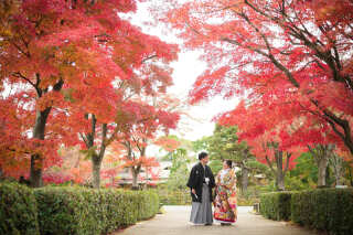 まだ間に合う！紅葉プラン