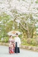 桜のフォトスポットをご紹介