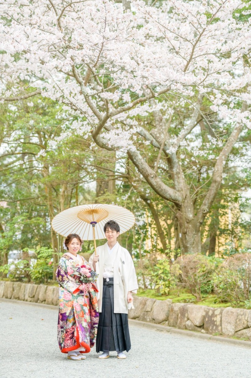 桜のフォトスポットをご紹介