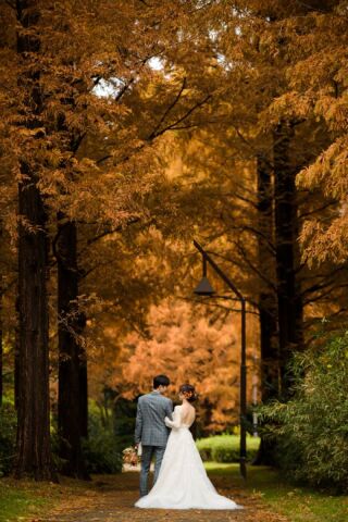 秋の水元公園～紅葉ロケーション～