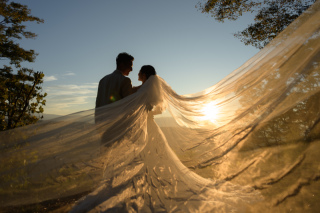 ベールを使った幻想的ショット5選！