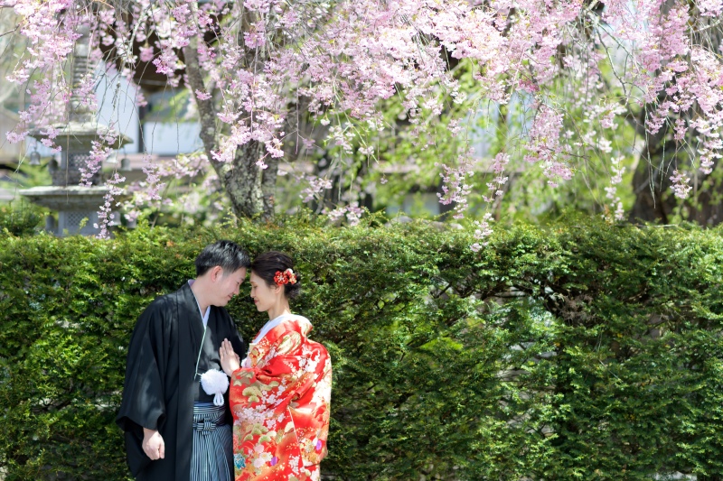 春の色打掛特集！～神宮寺～
