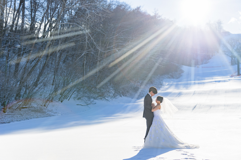 各季節一気見！春夏秋冬撮影まとめ！！