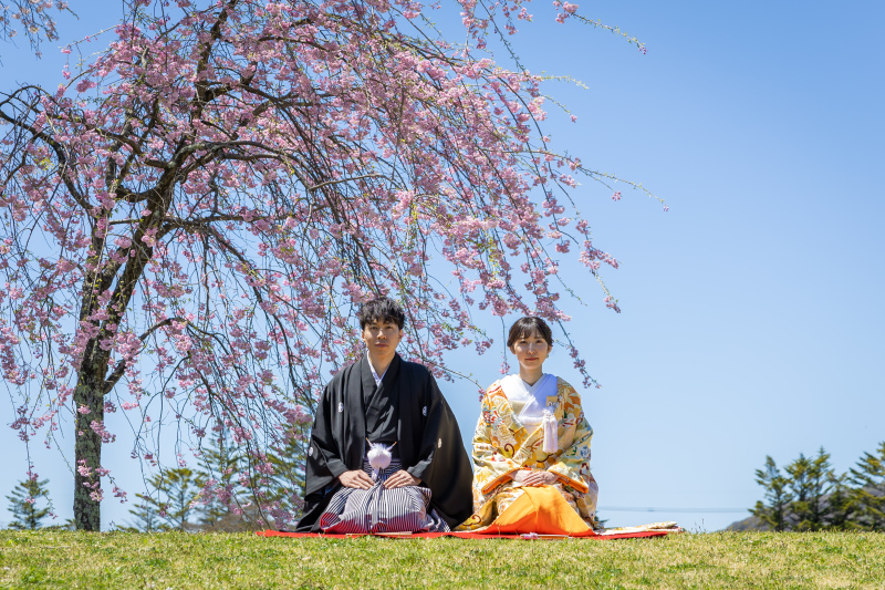 ラストチャンス！桜フォト