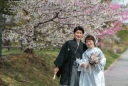 桜フォトに!おすすめロケーション地のご紹介!