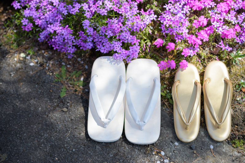 春の色打掛特集！～神宮寺～