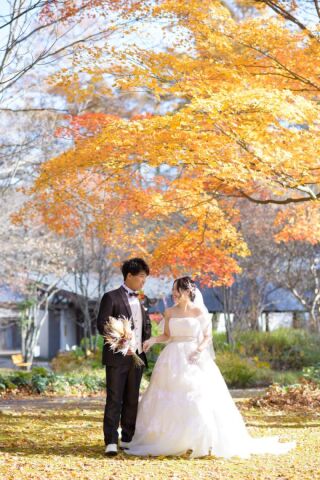 晴天も雨天も◎ おすすめフォトスポット