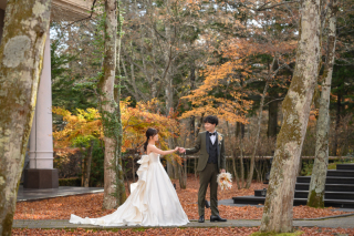 紅葉の絨毯