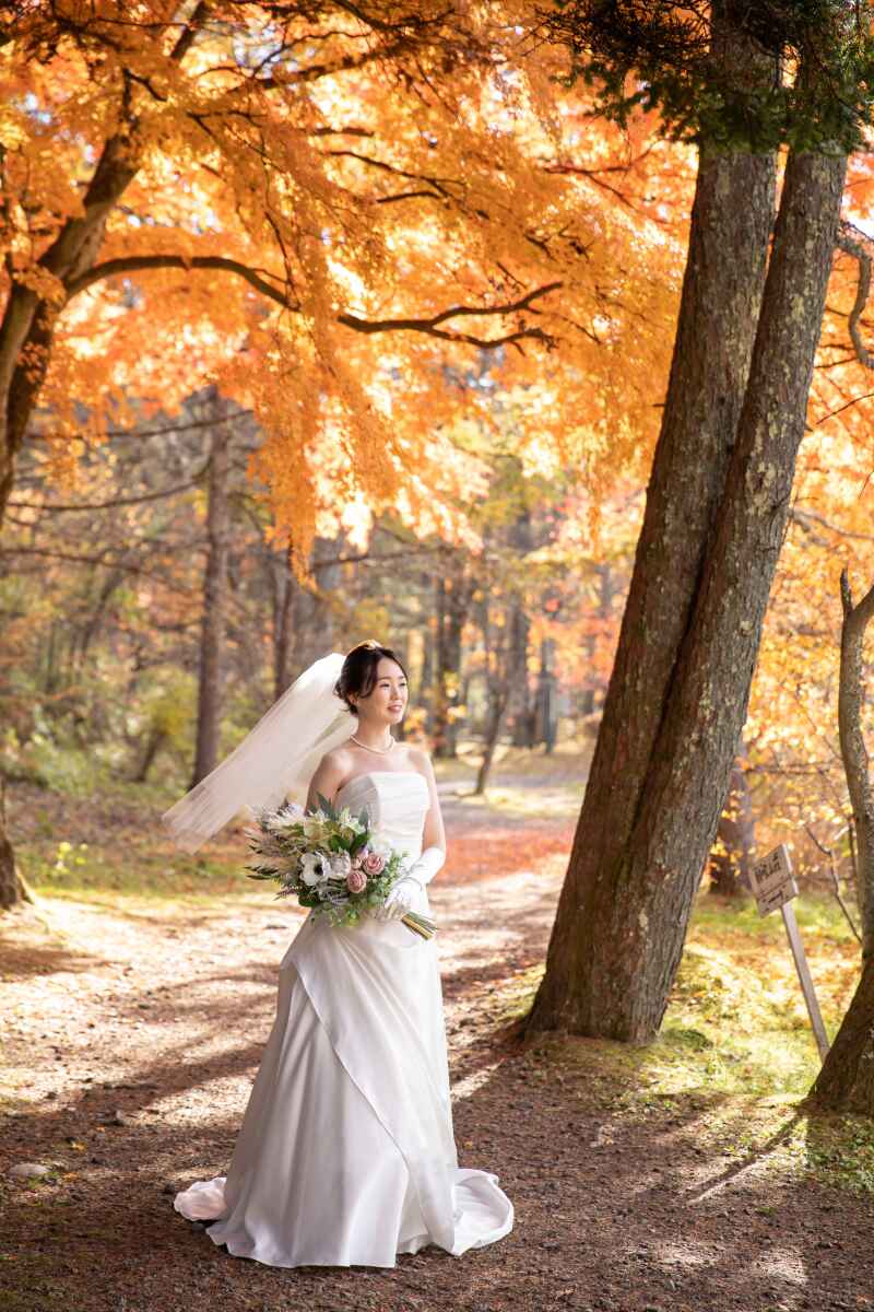 11月末まで限定・衣装追加料金なしプランのご紹介