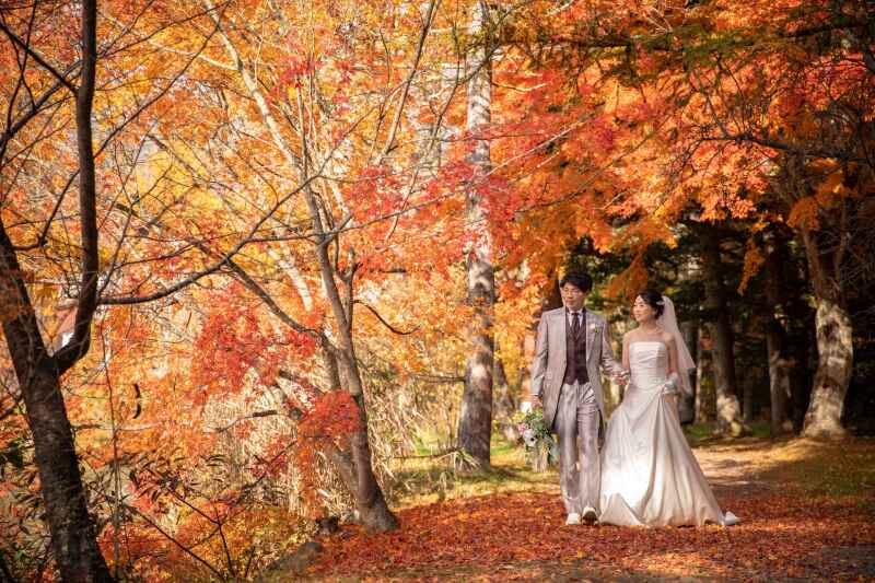 11月末まで限定・衣装追加料金なしプランのご紹介