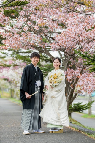 大人気桜プラン登場!