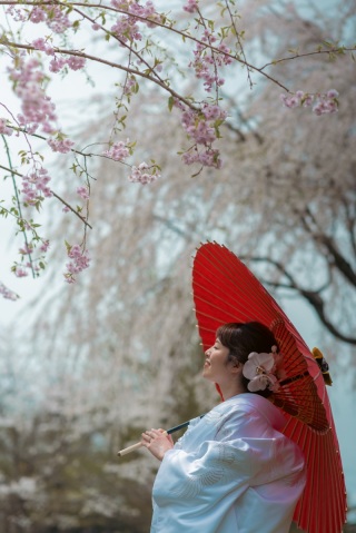 まだ間に合う!桜フォトウェディング!