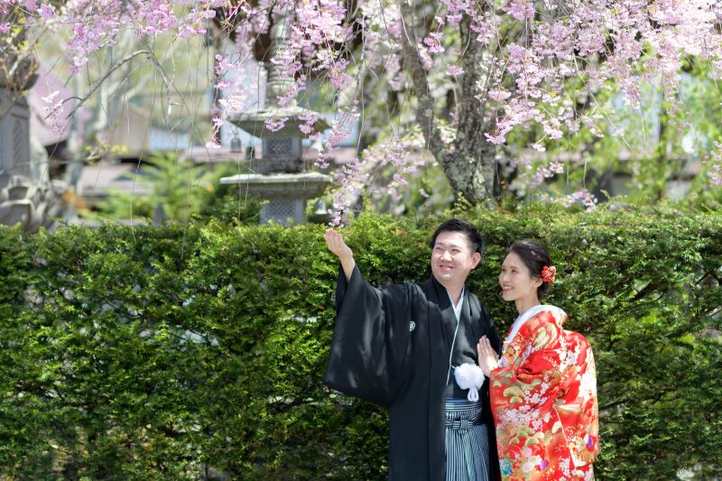 桜の下でロケーションフォト!