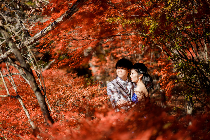 紅葉フォトに!おすすめロケーション!