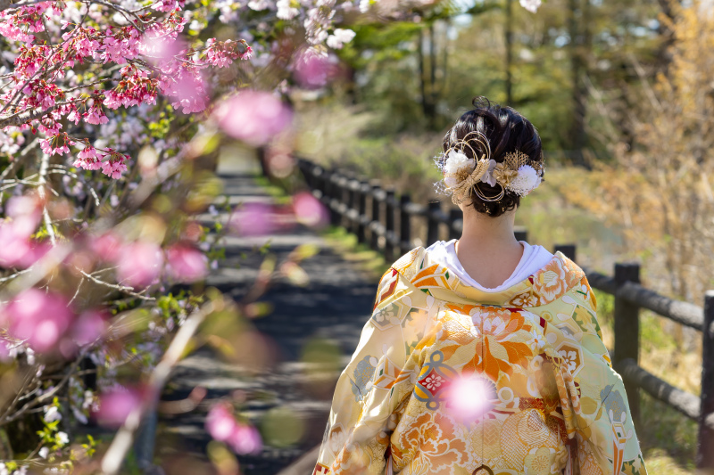 ロケーション撮影！春の矢ヶ崎公園