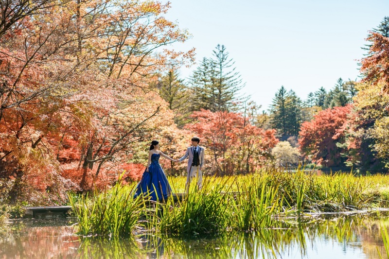 紅葉フォトに!おすすめロケーション!