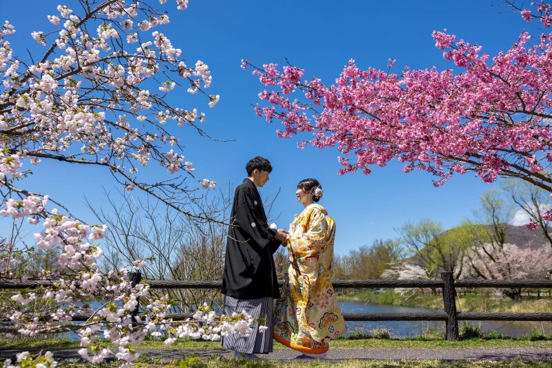 桜の下でロケーションフォト!