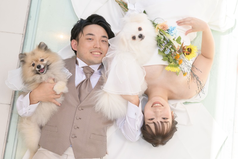 わんちゃんとの可愛らしいお写真