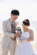 ペットとのご撮影も可能です!