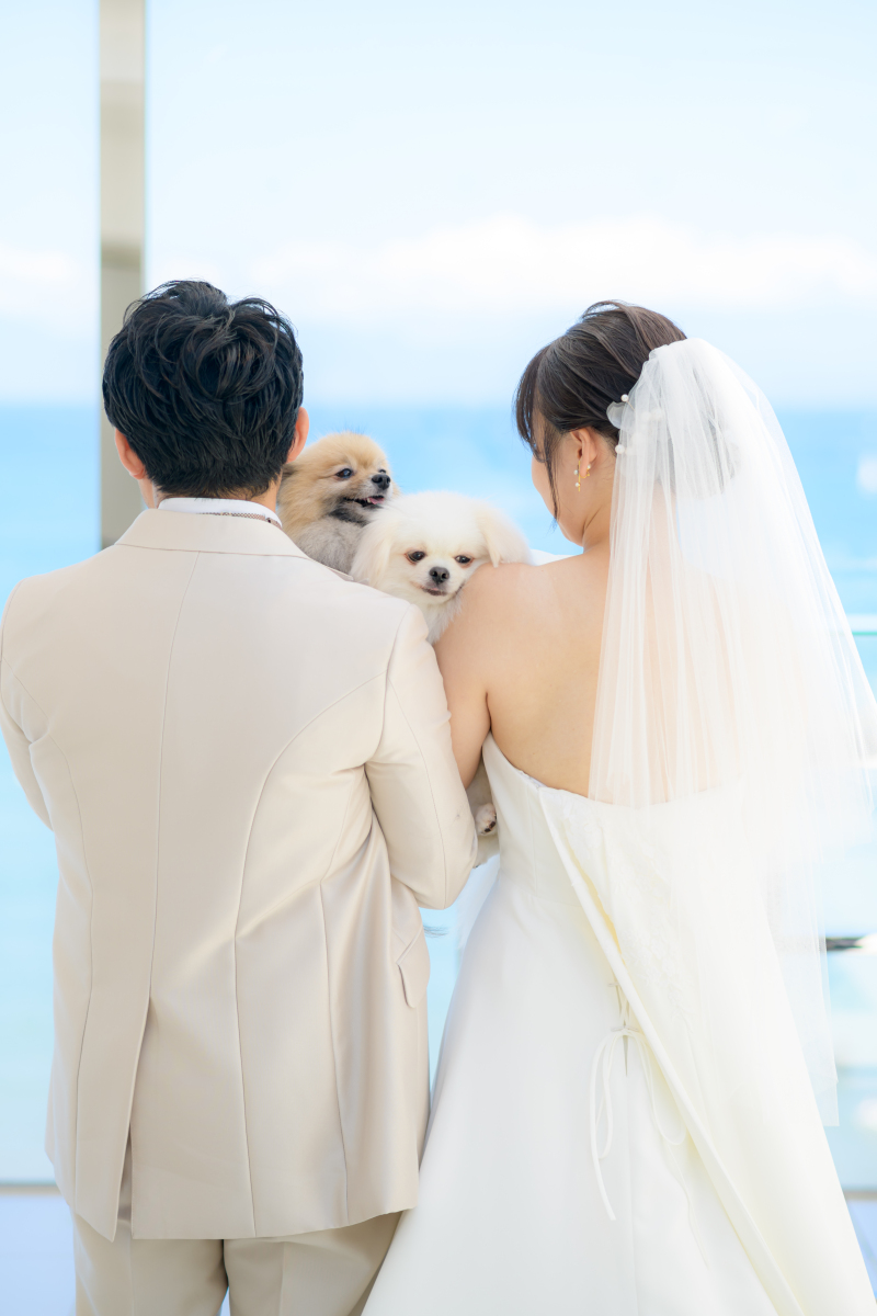 愛犬との１枚