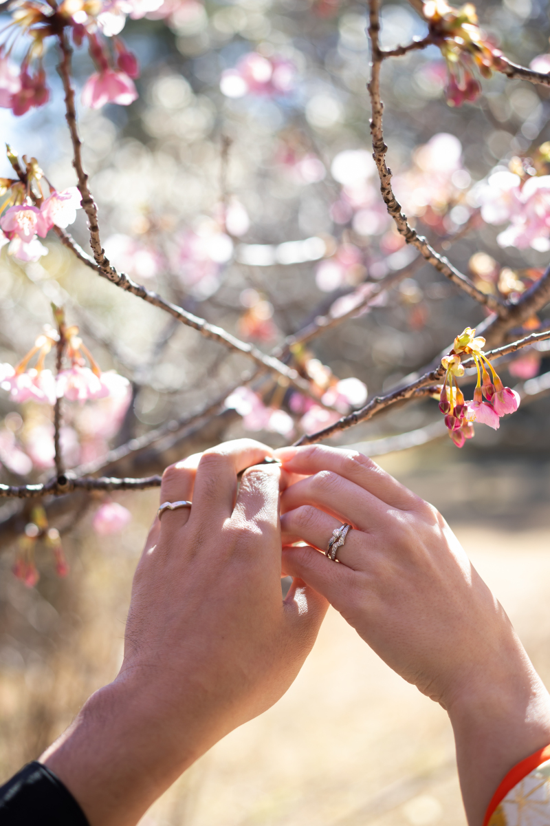 春撮影のお問い合わせも増えております♪