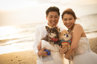 わんちゃんと一緒に撮影可能です♪