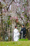 桜シーズンのご予約について♪