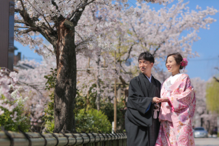 春の桜シーズンのご紹介♪