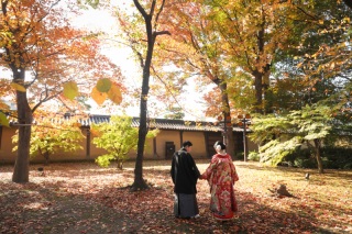 紅葉時期の撮影♪