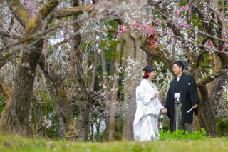 桜シーズンのご予約はお早めに！