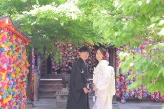 新緑が映える京都の街!