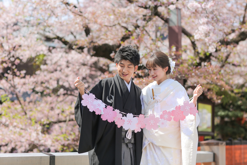 【早割プラン】桜シーズン限定!和装ロケーション撮影プランについて♪