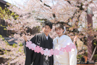 桜シーズン♪お手軽!LINEでご相談会!