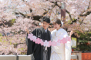 桜シーズンのお撮影♪