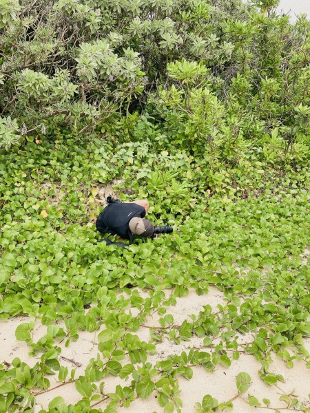 緑に溶け込むフォトグラファー