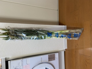 フォトグラファーさんからの思い出の差し入れ!