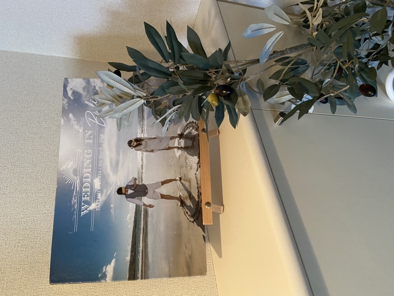 スタジオブルー東京のオフィスから更新します♪