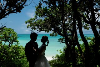 【フォレストフォト】美しい海と緑【森林】